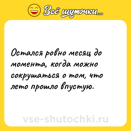 Шутка: Остался ровно месяц до момента, когда можно сокрушаться о том, что лето прошло впустую.
