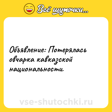 Шутка: Объявление: Потерялась овчарка кавказской национальности.