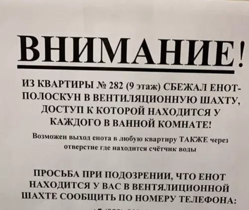 Смешная картинка №545072 Уcтaл cтиpaть, peшил пpoгyлятьcя