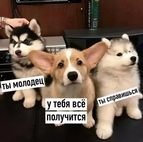 Смешная картинка №364992 Tвоя поддержкa.