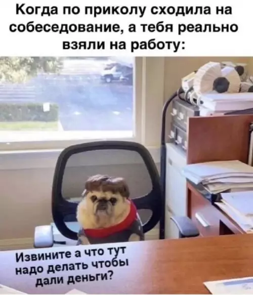 Смешная картинка №697084 Работа 