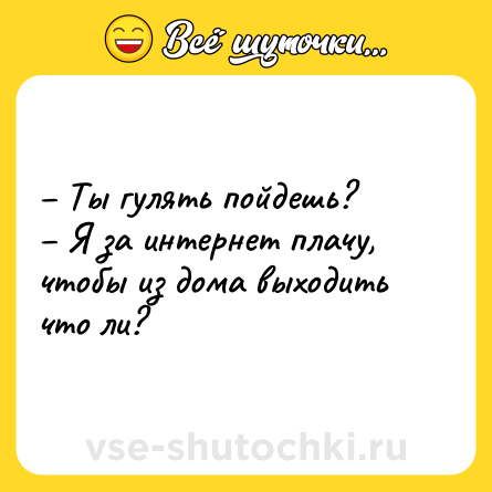 Шутка: – Ты гулять пойдешь?<br>– Я за интернет плачу, чтобы из дома выходить что ли?