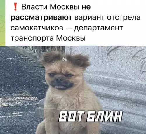 Смешная картинка №684237