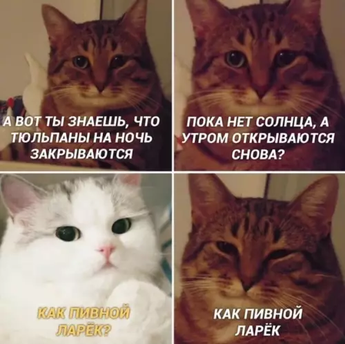 Смешная картинка №440099 Когда захотелось побыть романтичным