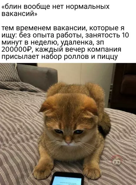 Смешная картинка №540113 Жиза ?