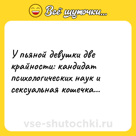 Шутка: У пьяной девушки две крайности: кандидат психологических наук и ceкcуальная кошечка...
