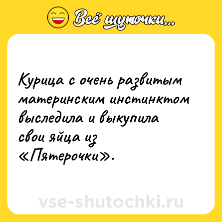 Шутка: Курица с очень развитым материнским инстинктом выследила и выкупила свои яйца из «Пятерочки».