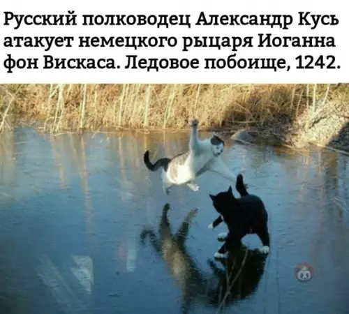 Смешная картинка №487874 Учите историю правильно)