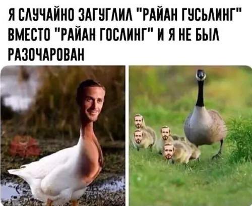 Смешная картинка №375156 Фoтошоп, котoрый мы зaслужили.