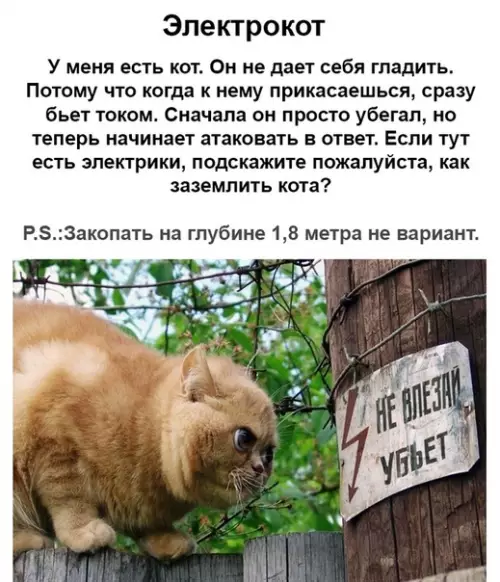 Смешная картинка №363718