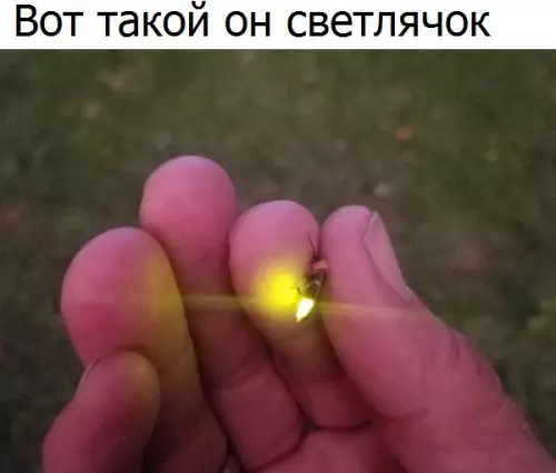 Смешная картинка №190778