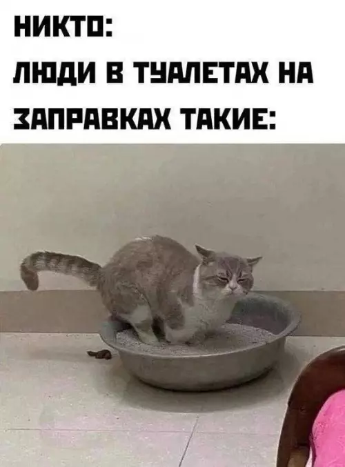 Смешная картинка №781135