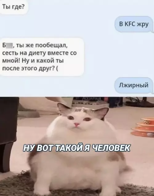 Смешная картинка №677331 переписка