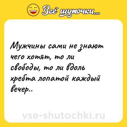 Шутка: Мужчины сами не знают чего хотят, то ли свободы, то ли вдоль хребта лопатой каждый вечер..