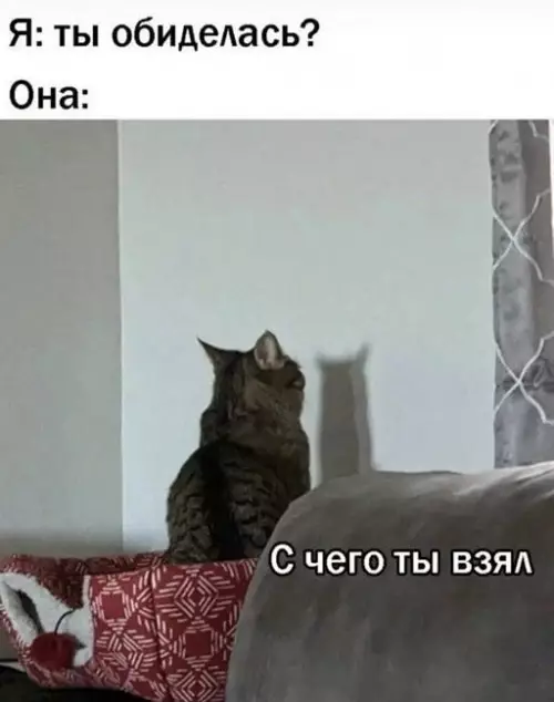 Смешная картинка №649976