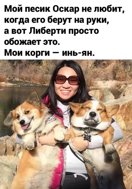 Смешная картинка №475331 ??