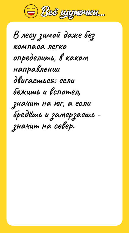 В лесу зимой даже без компаса легко определить, в каком