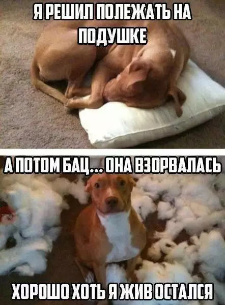 Смешная картинка №670716