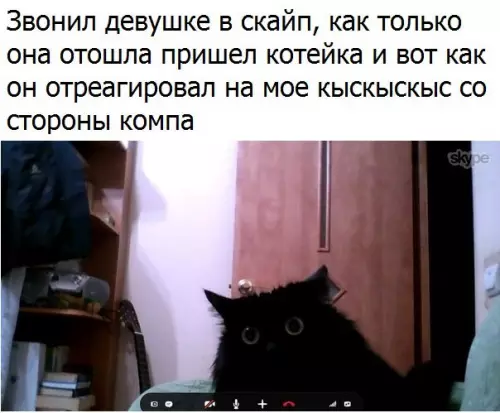 Смешная картинка №279024