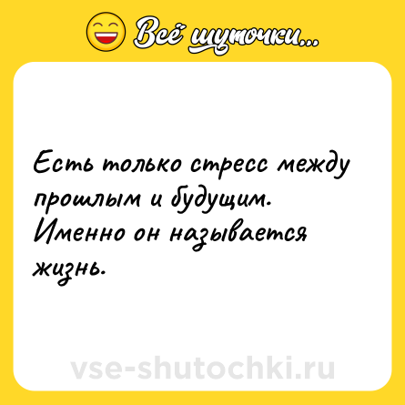 Шутка: Есть только стресс между прошлым и будущим. Именно он называется жизнь.