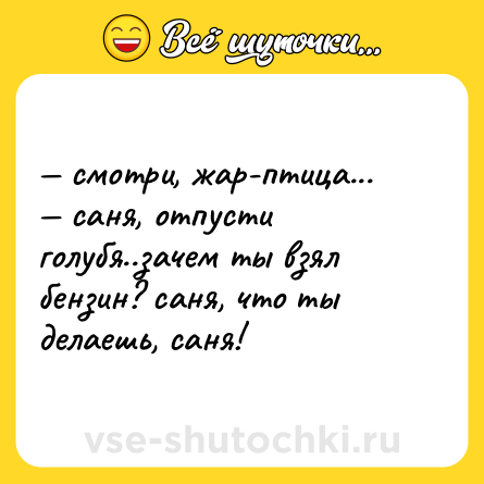 Шутка: — смотри, жар-птица... <br>— саня, отпусти голубя..зачем ты взял бензин? саня, что ты делаешь, саня!
