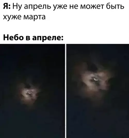 Смешная картинка №482113