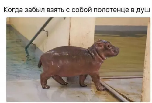 Смешная картинка №247503