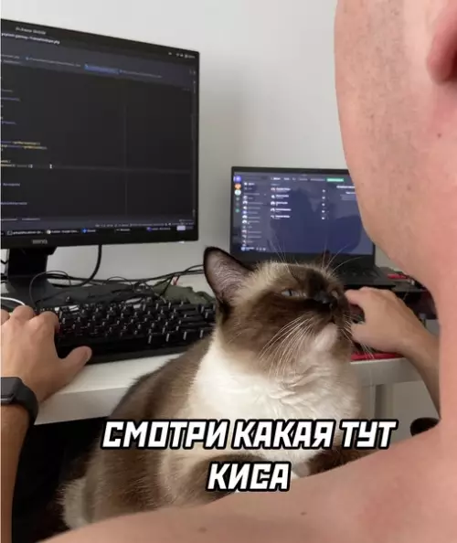 продолжение Смешная картинка №584071