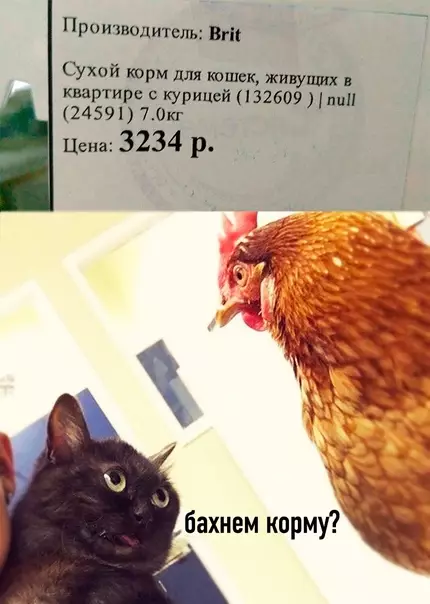 Смешная картинка №568948 Пepeкycим?