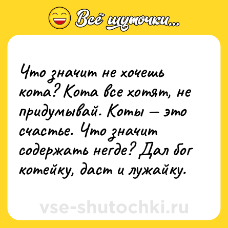 Шутка: Что значит не хочешь кота? Кота все хотят, не придумывай. Коты — это счастье. Что значит содержать негде? Дал бог котейку, даст и лужайку.