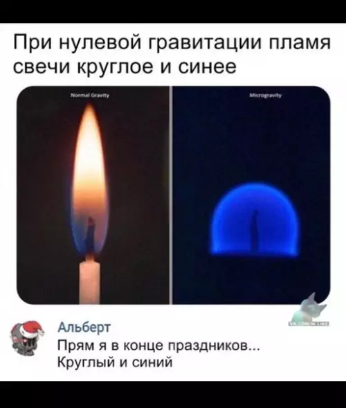 Смешная картинка №391976