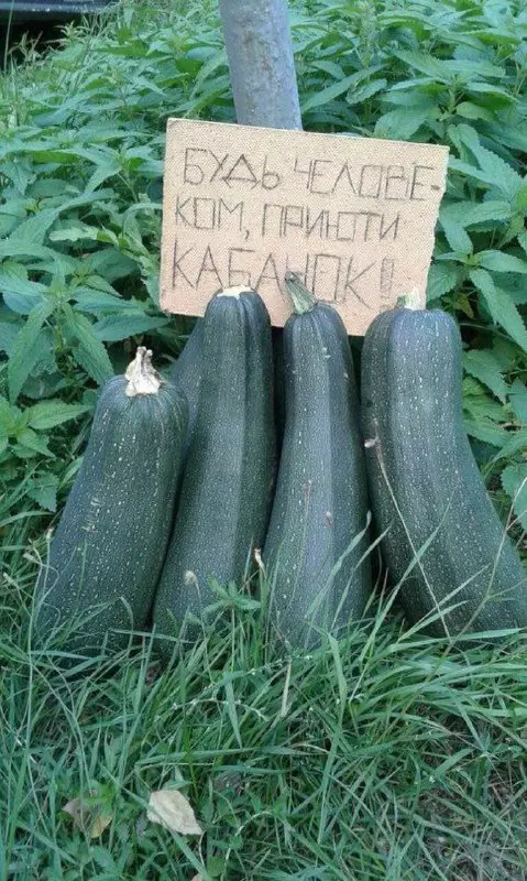 Смешная картинка №692611 кабачки