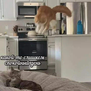 Смешная картинка №784608