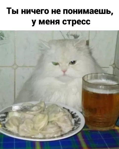 продолжение Смешная картинка №562728 Жиpoвaя бpoня нe cпacaeт oт paн