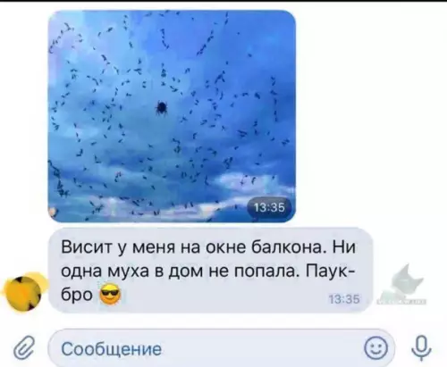 Смешная картинка №317603