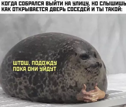 Смешная картинка №475876