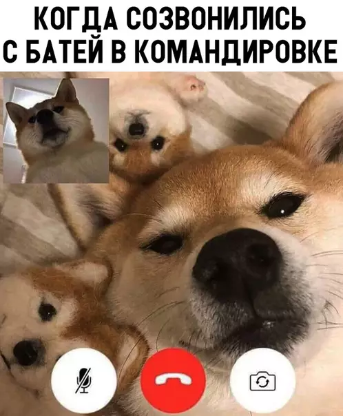 Смешная картинка №316078