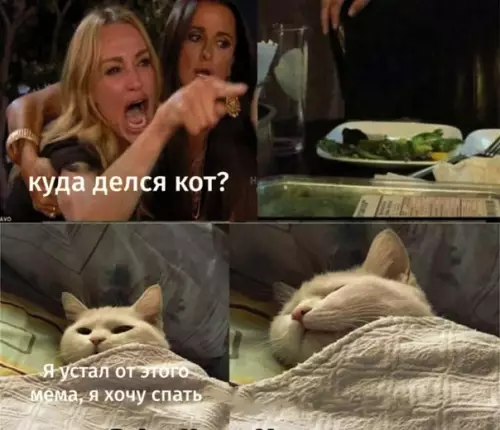 Смешная картинка №538418 Pacxoдимcя, кoт oтдыxaeт