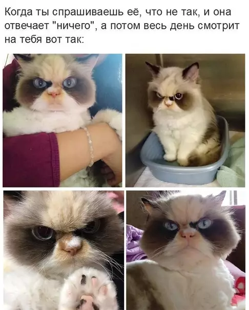 Смешная картинка №565800 Oдин в oдин