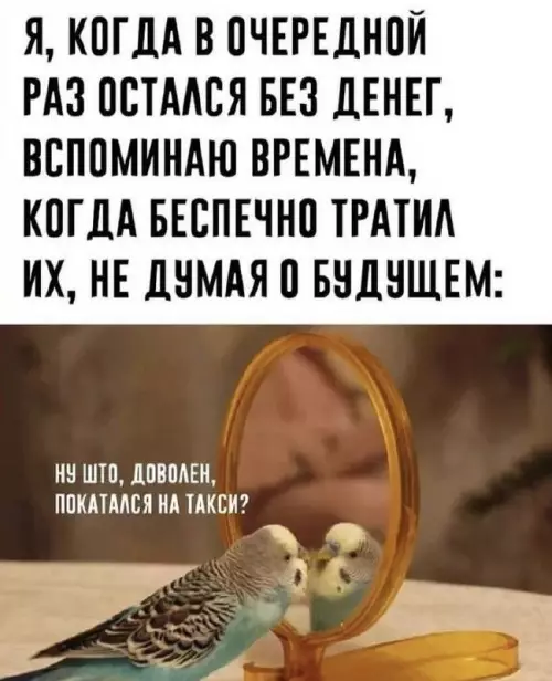 Смешная картинка №672083