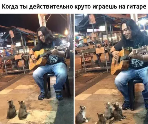 Смешная картинка №220678
