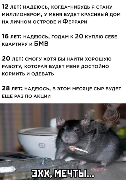 Смешная картинка №556460