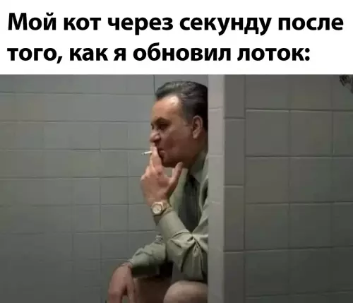 Смешная картинка №733181