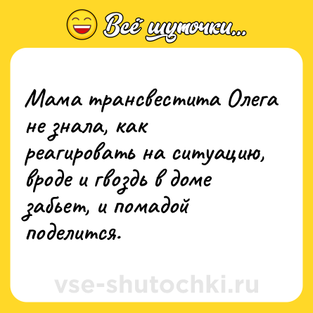 Шутка: Мама трансвестита Олега не знала, как реагировать на ситуацию, вроде и гвоздь в доме забьет, и помадой поделится.