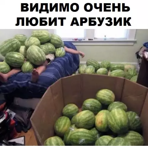 Смешная картинка №314384