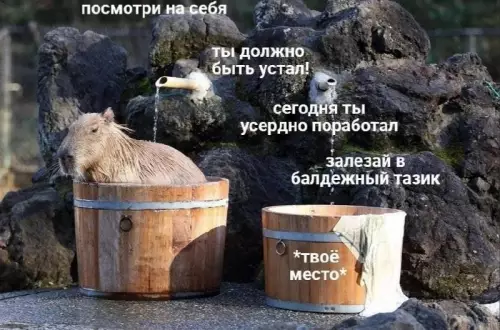 Смешная картинка №663916