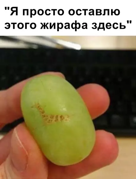 Смешная картинка №335145