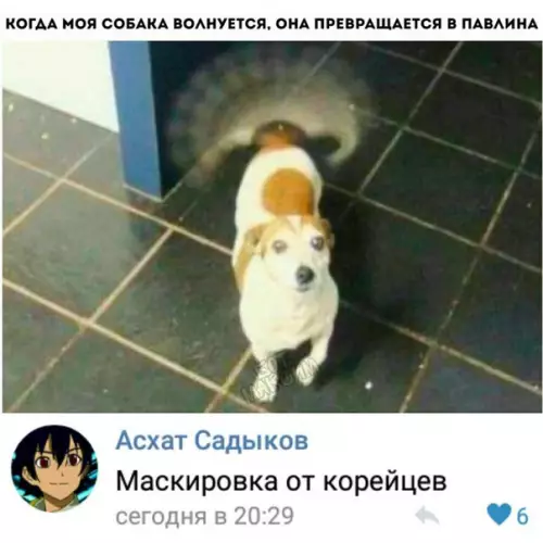 Смешная картинка №277198