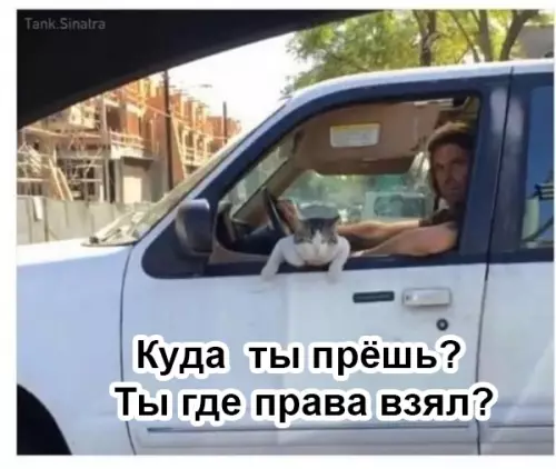 Смешная картинка №355457