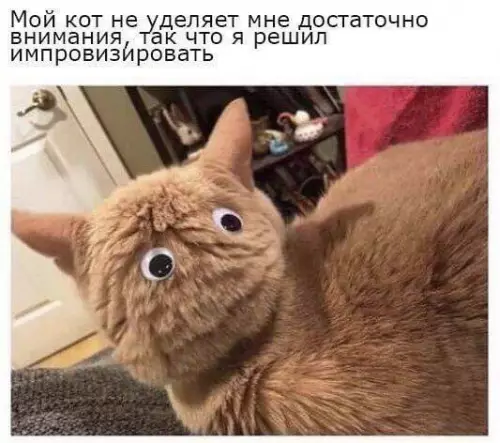 Смешная картинка №676807